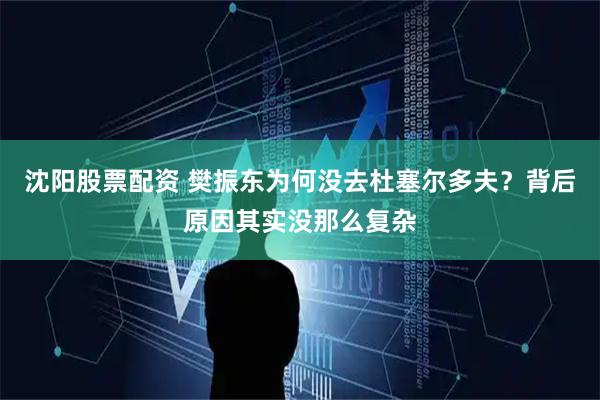 沈阳股票配资 樊振东为何没去杜塞尔多夫？背后原因其实没那么复杂